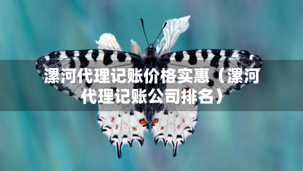 漯河代理記賬價格實惠（漯河代理記賬公司排名）