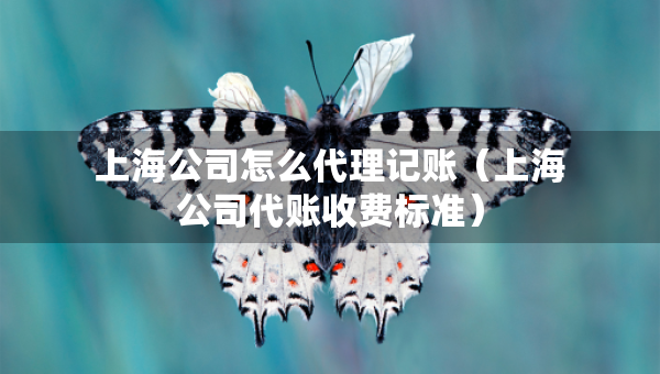 上海公司怎么代理記賬（上海公司代賬收費標準）