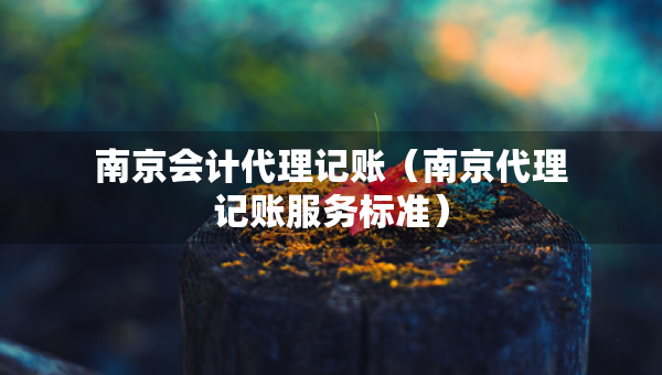 南京會(huì)計(jì)代理記賬（南京代理記賬服務(wù)標(biāo)準(zhǔn)）