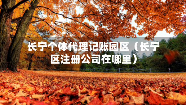 長(zhǎng)寧個(gè)體代理記賬園區(qū)（長(zhǎng)寧區(qū)注冊(cè)公司在哪里）