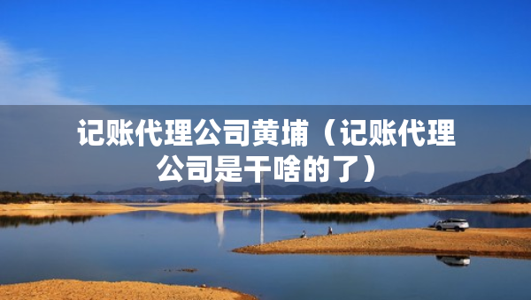 記賬代理公司黃埔（記賬代理公司是干啥的了）