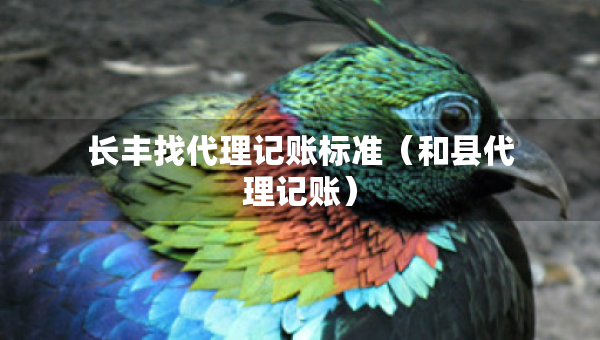 長(zhǎng)豐找代理記賬標(biāo)準(zhǔn)（和縣代理記賬）