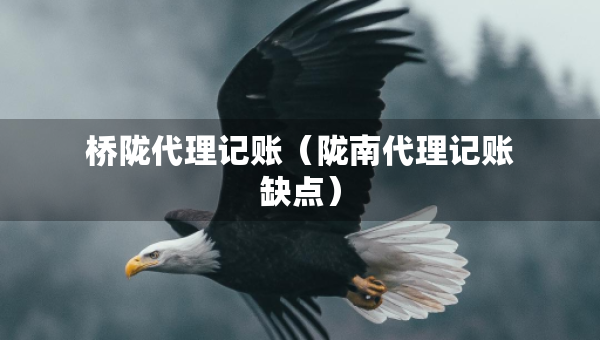 橋隴代理記賬（隴南代理記賬缺點(diǎn)）