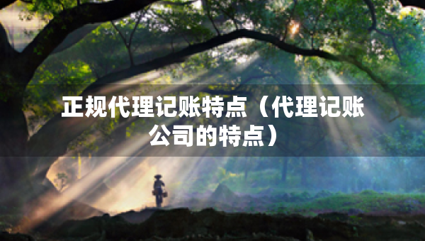 正規(guī)代理記賬特點(diǎn)（代理記賬公司的特點(diǎn)）