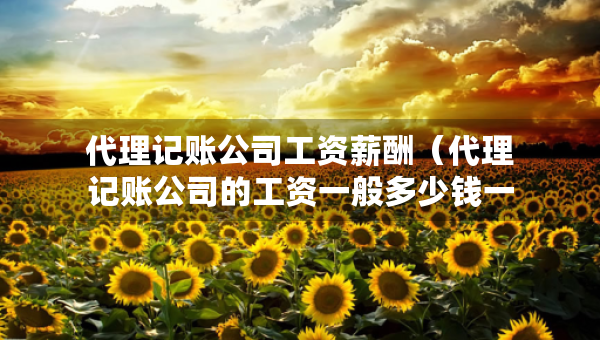 代理記賬公司工資薪酬（代理記賬公司的工資一般多少錢(qián)一個(gè)月）