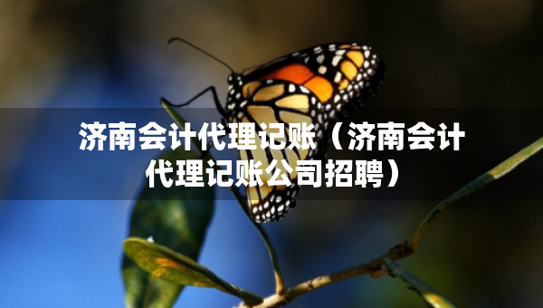 濟南會計代理記賬（濟南會計代理記賬公司招聘）