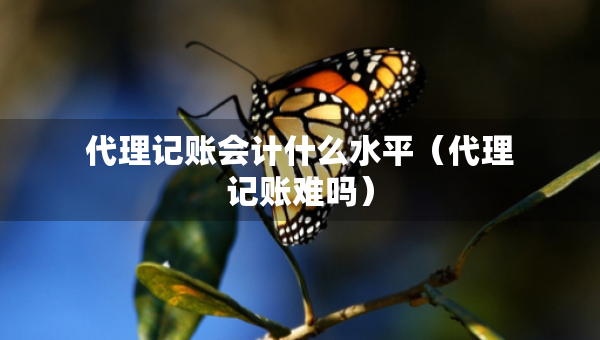 代理記賬會(huì)計(jì)什么水平（代理記賬難嗎）