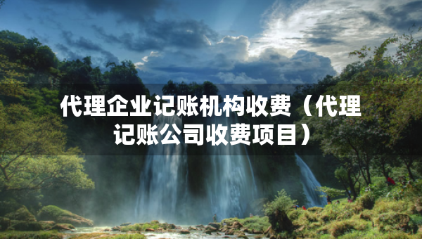 代理企業(yè)記賬機(jī)構(gòu)收費（代理記賬公司收費項目）