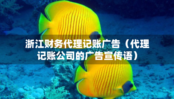 浙江財(cái)務(wù)代理記賬廣告（代理記賬公司的廣告宣傳語）