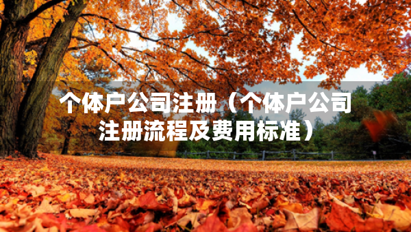 個(gè)體戶(hù)公司注冊(cè)（個(gè)體戶(hù)公司注冊(cè)流程及費(fèi)用標(biāo)準(zhǔn)）