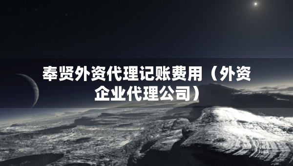 奉賢外資代理記賬費(fèi)用（外資企業(yè)代理公司）