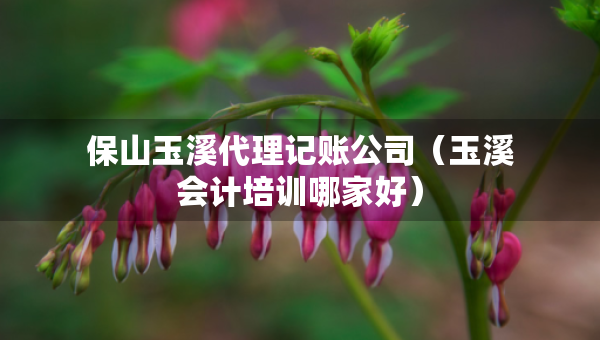 保山玉溪代理記賬公司（玉溪會(huì)計(jì)培訓(xùn)哪家好）