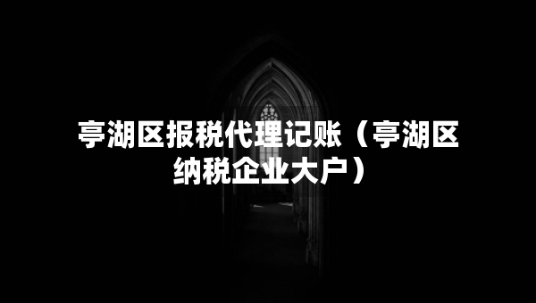 亭湖區(qū)報稅代理記賬（亭湖區(qū)納稅企業(yè)大戶）