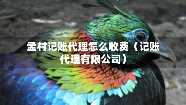 孟村記賬代理怎么收費(fèi)（記賬代理有限公司）