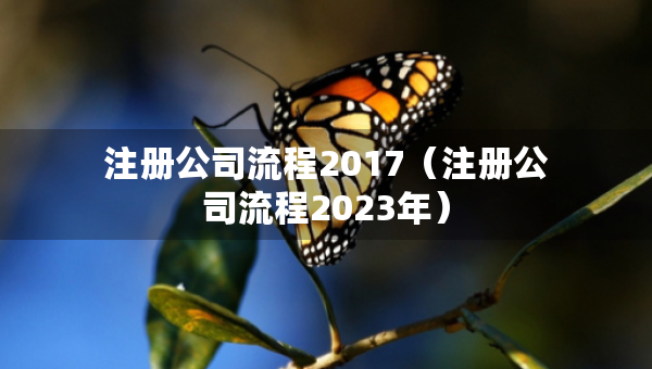 注冊(cè)公司流程2017（注冊(cè)公司流程2023年）