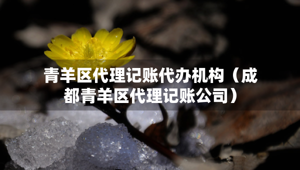 青羊區(qū)代理記賬代辦機構（成都青羊區(qū)代理記賬公司）