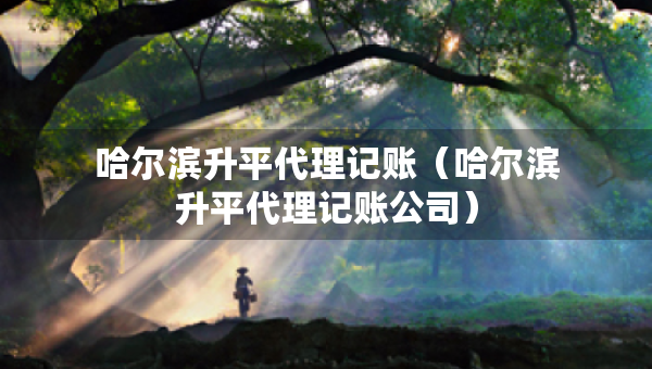 哈爾濱升平代理記賬（哈爾濱升平代理記賬公司）