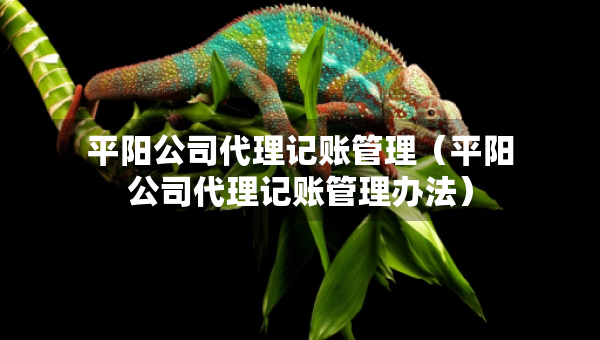 平陽公司代理記賬管理（平陽公司代理記賬管理辦法）