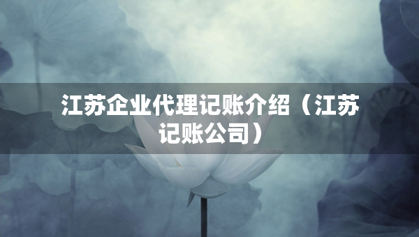 江蘇企業(yè)代理記賬介紹（江蘇記賬公司）