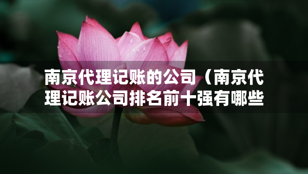 南京代理記賬的公司（南京代理記賬公司排名前十強有哪些）