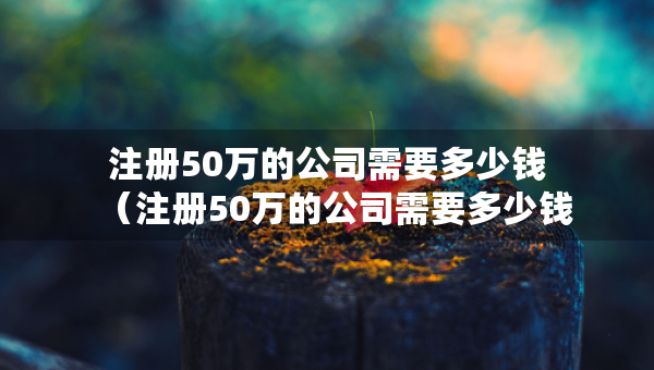 注冊50萬的公司需要多少錢（注冊50萬的公司需要多少錢一個月）