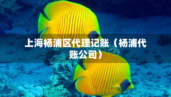 上海楊浦區(qū)代理記賬（楊浦代賬公司）