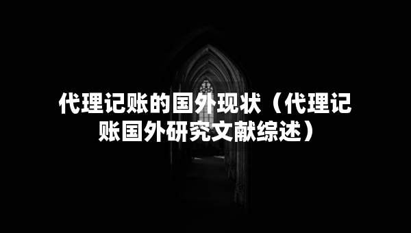 代理記賬的國外現(xiàn)狀（代理記賬國外研究文獻(xiàn)綜述）