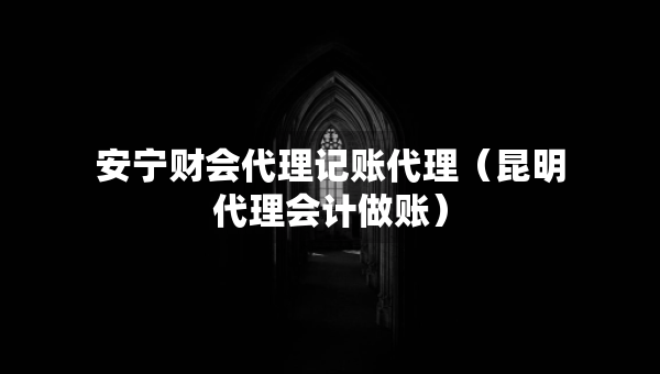 安寧財(cái)會代理記賬代理（昆明代理會計(jì)做賬）