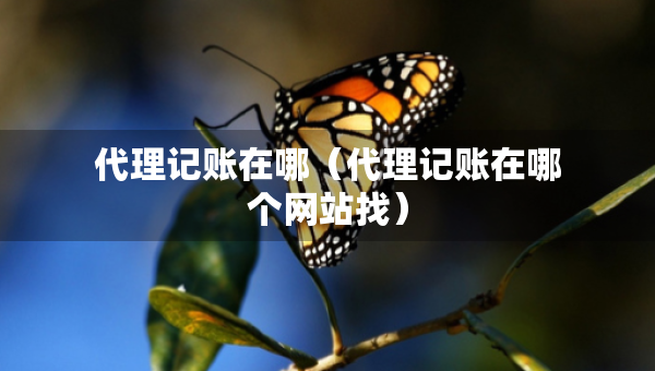 代理記賬在哪（代理記賬在哪個(gè)網(wǎng)站找）