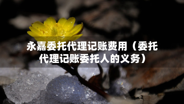 永嘉委托代理記賬費(fèi)用（委托代理記賬委托人的義務(wù)）