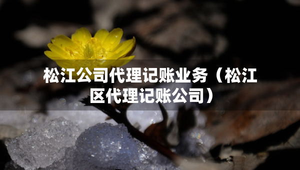 松江公司代理記賬業(yè)務（松江區(qū)代理記賬公司）