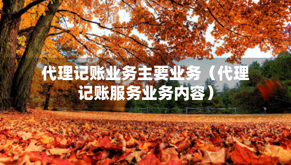 代理記賬業(yè)務(wù)主要業(yè)務(wù)（代理記賬服務(wù)業(yè)務(wù)內(nèi)容）