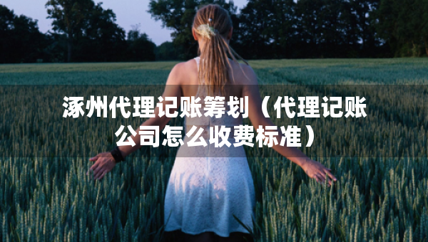 涿州代理記賬籌劃（代理記賬公司怎么收費(fèi)標(biāo)準(zhǔn)）