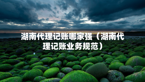 湖南代理記賬哪家強(qiáng)（湖南代理記賬業(yè)務(wù)規(guī)范）