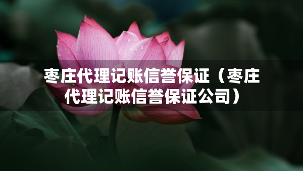 棗莊代理記賬信譽保證（棗莊代理記賬信譽保證公司）