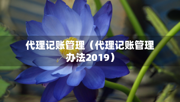 代理記賬管理（代理記賬管理辦法2019）