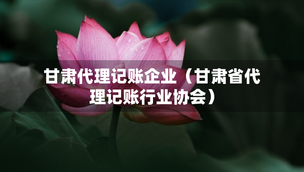 甘肅代理記賬企業(yè)（甘肅省代理記賬行業(yè)協(xié)會）