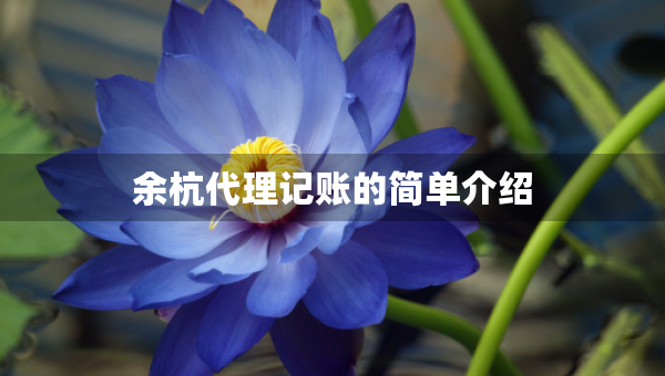 余杭代理記賬的簡單介紹