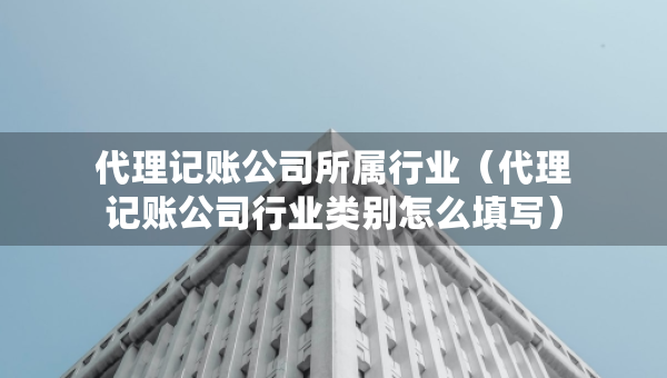 代理記賬公司所屬行業(yè)（代理記賬公司行業(yè)類別怎么填寫）