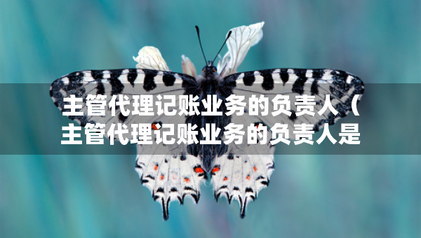 主管代理記賬業(yè)務(wù)的負(fù)責(zé)人（主管代理記賬業(yè)務(wù)的負(fù)責(zé)人是專職從業(yè)人員）