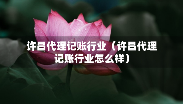 許昌代理記賬行業(yè)（許昌代理記賬行業(yè)怎么樣）