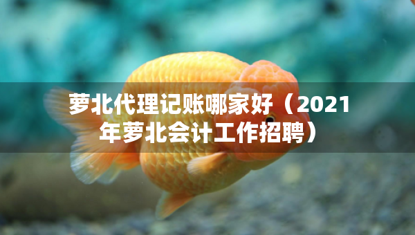 蘿北代理記賬哪家好（2021年蘿北會(huì)計(jì)工作招聘）