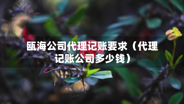 甌海公司代理記賬要求（代理記賬公司多少錢）