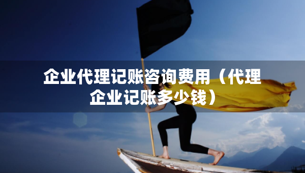 企業(yè)代理記賬咨詢費(fèi)用（代理企業(yè)記賬多少錢）