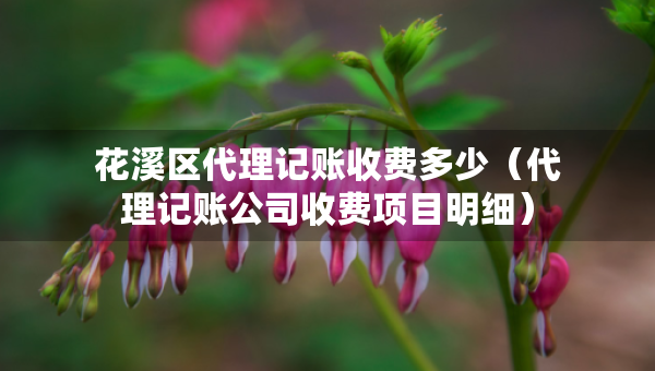 花溪區(qū)代理記賬收費多少（代理記賬公司收費項目明細）