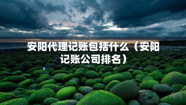 安陽代理記賬包括什么（安陽記賬公司排名）