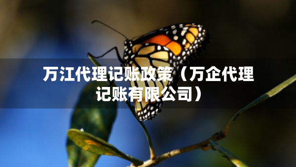 萬(wàn)江代理記賬政策（萬(wàn)企代理記賬有限公司）