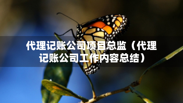 代理記賬公司項(xiàng)目總監(jiān)（代理記賬公司工作內(nèi)容總結(jié)）