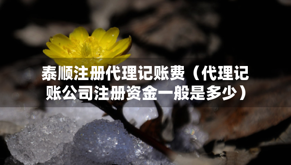 泰順注冊(cè)代理記賬費(fèi)（代理記賬公司注冊(cè)資金一般是多少）