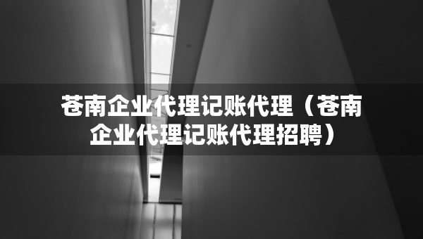 蒼南企業(yè)代理記賬代理（蒼南企業(yè)代理記賬代理招聘）